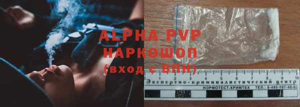 apvp Верея