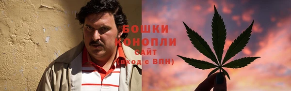 эйфоретик Богданович