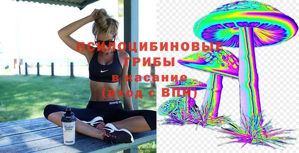 ПСИЛОЦИБИНОВЫЕ ГРИБЫ Богородск