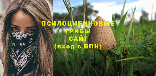 прущие крисы Богородицк