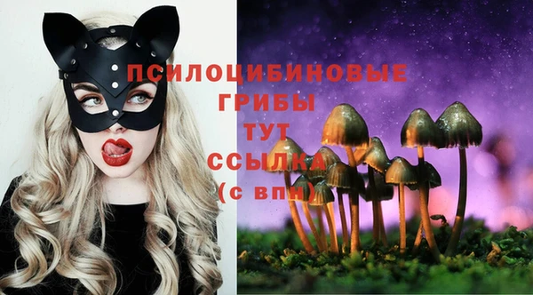 прущие крисы Богородицк