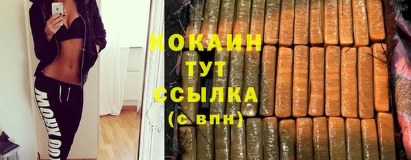 эйфоретик Богданович