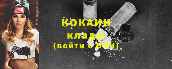 эйфоретик Богданович