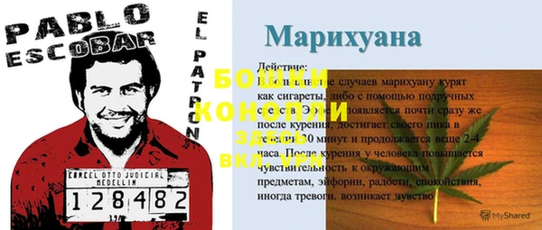 эйфоретик Богданович