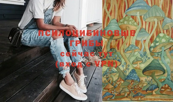 эйфоретик Богданович